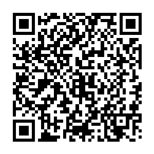 在武皇实力都非常稀缺的情况下一位武帝实力的高手无疑是受人尊崇的对象二维码生成