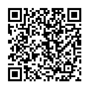 在母亲记忆当中苏家老宅里的几处漂亮花园此时早已不见二维码生成