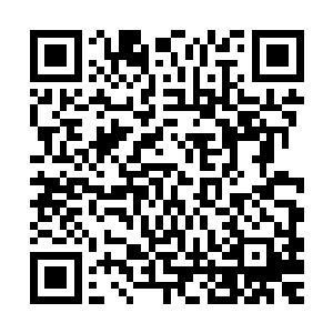 在毒刺鱼一根芯刺的攻击下竟然也无法忍受这样的痛苦出了狂吼二维码生成