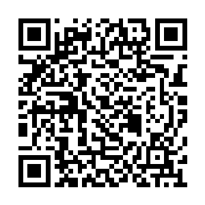 在比赛中更有许多次让人感到惊艳的操作和表现二维码生成