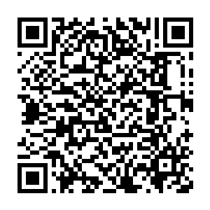 在气流的作用下飞行于天空之中和在洋流的作用下飞行于海洋之下二维码生成