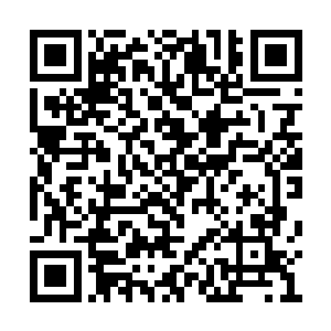 在水中形成了一只有着奇特外表造型的昆虫形象二维码生成