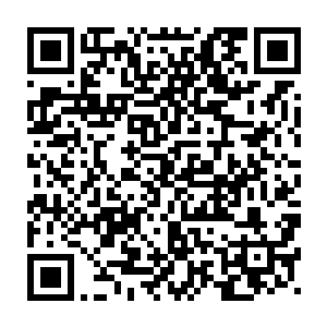 在水中没有发现什么长着牙齿的怪鱼和长相丑陋的鳄鱼之类的野兽后二维码生成
