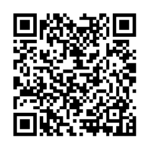 在江少游这个完全不走寻常路的赌术界菜鸟的面前二维码生成