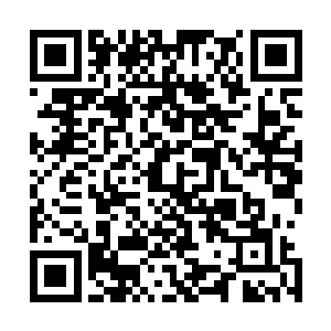 在汪洋大海里能够撷取一朵浪花就足够一个人光耀千古的了二维码生成