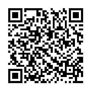 在沉睡已久的神魂上轰出了纵横交错的无数道缝隙二维码生成