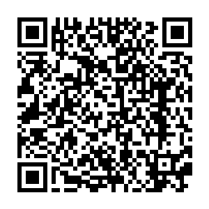 在没有做出任何反抗举动的情况下……依然被辟塔军逮捕并杀害了二维码生成