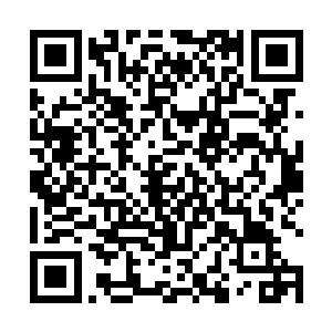 在没有其他办法的情况下只能带萧黎出去找大夫医治了二维码生成