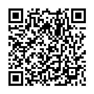 在没有具体了解清楚洛雪妍和司马家族的关系前二维码生成