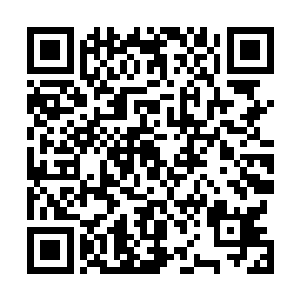 在没有必要的情况下是不会贸然加入一个底细不明的势力二维码生成