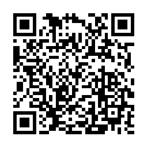 在没有母雪狼帮助的情况下产出小狼崽只有一个办法二维码生成