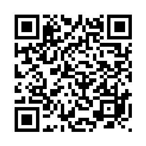 在沧澜宗内根本就不会有什么发展二维码生成