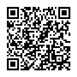 在洞府入口出的一座大殿就可以操控洞府防护阵二维码生成