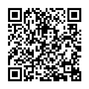 在洪荒幸存者们的指引和人类文明三大势力的通力合作之下二维码生成