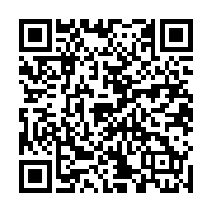 在流墨墨和琴瑟色全力灌注纯净能量供给神魂碎片很久二维码生成