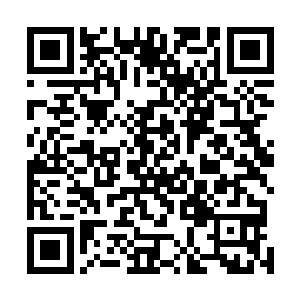 在流墨墨说了一下自己想要的宫殿大致模样和基本情况后二维码生成