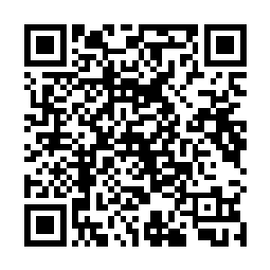 在流淌的灵水旁边开辟了一个小河塘将它们养在了那里二维码生成