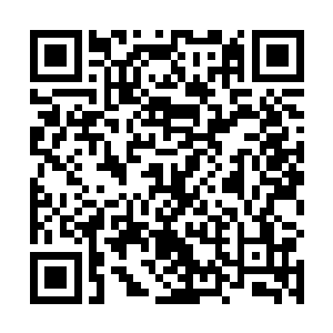 在浏览折子内容后用一丝不苟的小楷批文足足三百余字二维码生成