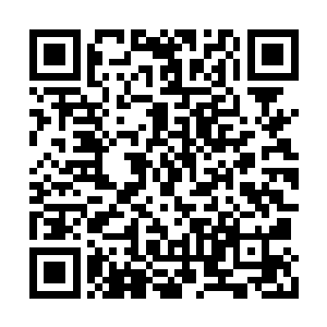 在浩瀚的范围当中居然也没有掌握几个生命痕迹二维码生成