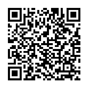 在海上颠簸了将近十个月的安清号上的人一下子涌了下来二维码生成