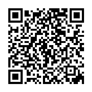 在海域能呼风唤雨的大帝在这里竟然还不如那些强者的一滴血液二维码生成