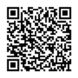 在海岛中央的一座小山下找到了秘密基地的入口二维码生成