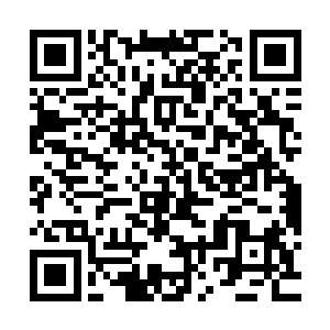 在深海时候很少有人能看到成群的蓝鳍金枪鱼而且还是这么大的二维码生成