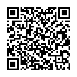 在清醒瞬间就立即转身变回了原型朝流墨墨恭敬道谢二维码生成