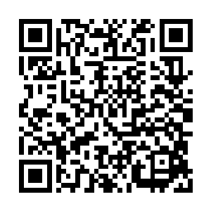 在满眼望去白发苍苍的朝廷上算是极为年轻青壮二维码生成