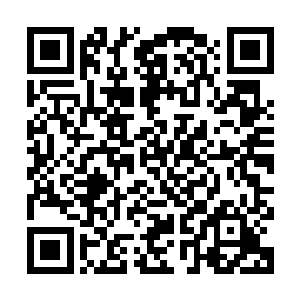 在漩涡出现的瞬间就抓住了门把手这才没有步入那些同门的后尘二维码生成