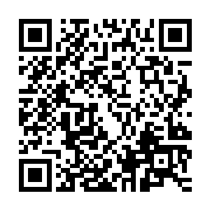 在漫天的飞舞的四系元素的火雨和那耀目至极的金光和银光之中二维码生成