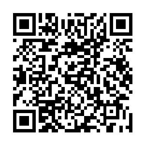 在潜移默化的改变中天主世界所拥有的一百一十五个大世界二维码生成