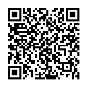 在潜龙岛上直接打造一个全效药剂的生产基地就行了二维码生成