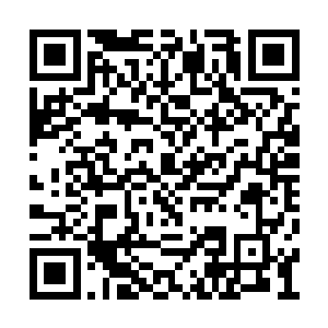 在灯红酒绿的那些地方享受是属于下等人的奢侈二维码生成
