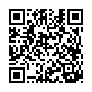 在烈焰红莲大堆莲子的效果加持和影响下二维码生成