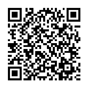 在燕京的时候袁琳一直念叨着家里的烤生蚝和我妈做的酱猪蹄二维码生成