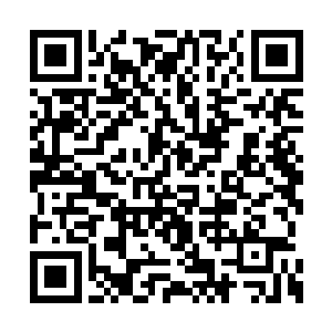 在燕山魂等修士的攻击刚刚达到他们身前的一瞬二维码生成
