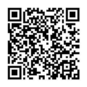 在片刻之后收了那个摆出来甚至颇具观赏性的出拳姿态二维码生成