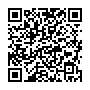 在特别行动处一等组员里从来就没有人敢这么跟绿倩说话二维码生成
