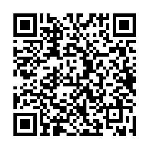 在狗子们敏锐的嗅觉和头狗黄一一全方位的神识作用下二维码生成