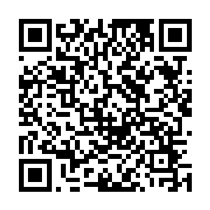 在玄黄小天界中显然要比紫云仙桃和悟道古茶树更加的稀少二维码生成