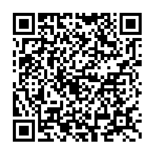 在王大郎催促几遍让我早些休息免得明天参加韩天秦婚礼没精神之后二维码生成