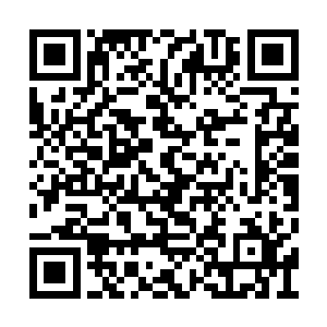 在玲珑仙塔上我已经被灵武大陆的大修士看到了二维码生成
