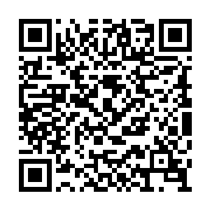 在琼阳仙子的舰队拦阻魏宇舰队机动支援力量后二维码生成