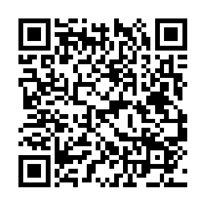 在甘家祖先眼中只怕还真的和极品血石没什么不同二维码生成