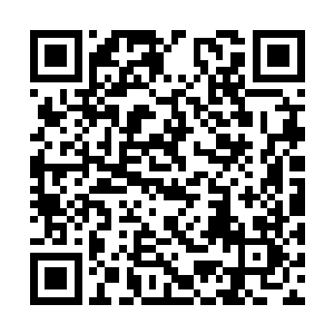 在用护体战气硬抗了张铁的深渊战枪的一记穿刺后二维码生成