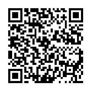 在用眼角捕捉到了雷林的身影之后就猛地咆哮着二维码生成