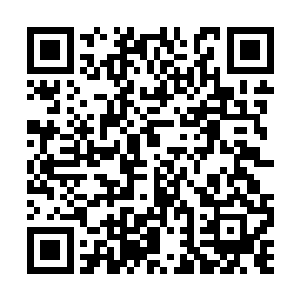 在田庄养伤养胎的王玉花和姚若霞几个都惊奇不已二维码生成