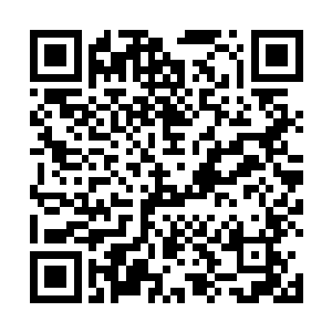 在申城的西部一夜之间竟爆发出了一桩极其恐怖的事件二维码生成