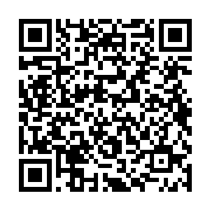 在电光火石之间两尊名震南部的修力天才便被止住了二维码生成